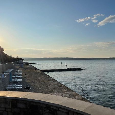 App Robi Διαμέρισμα Novigrad Istria Εξωτερικό φωτογραφία