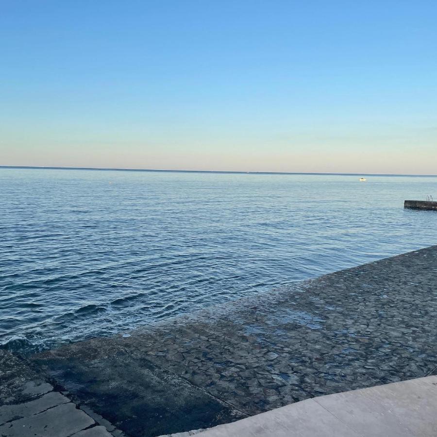 App Robi Διαμέρισμα Novigrad Istria Εξωτερικό φωτογραφία